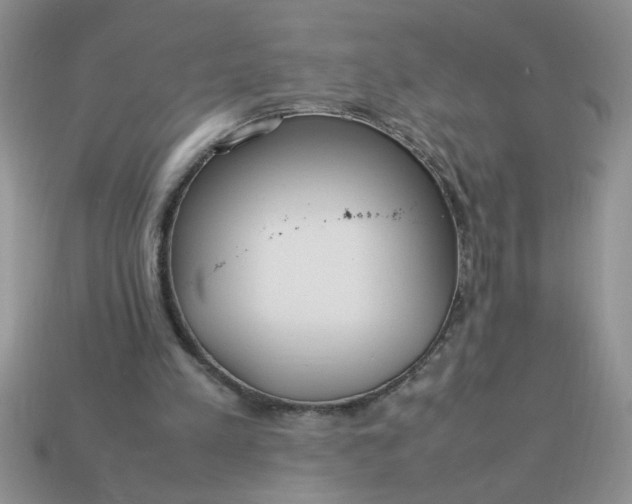 X0000113010197200909101824