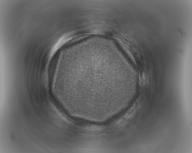 X0000113010198200909101824