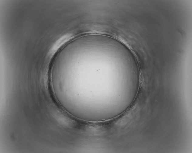 X0000113010199200909101824