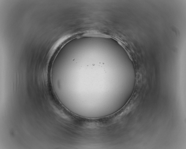 X0000113010200200909101824