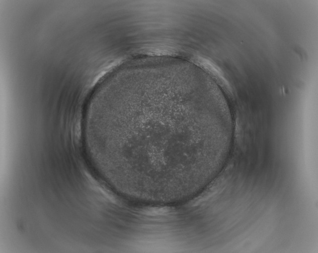 X0000113010202200909101824