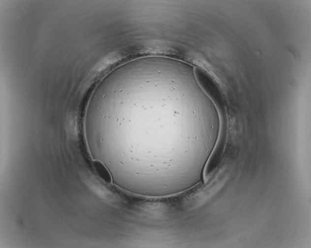 X0000113010203200909101824