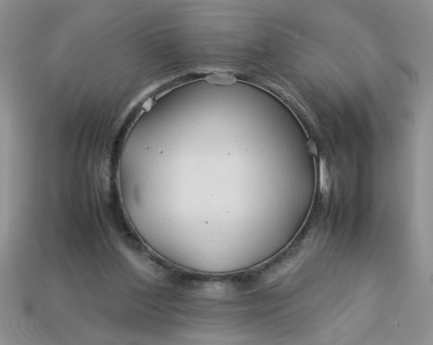 X0000113010204200909101824