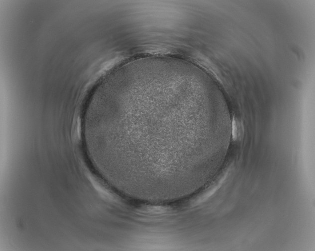 X0000113010205200909101824