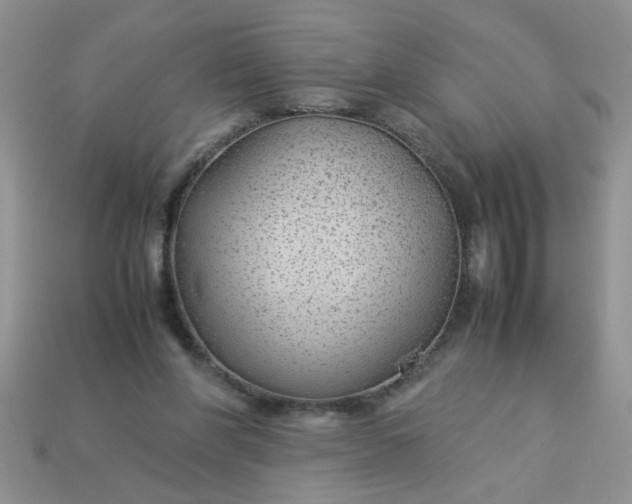 X0000113010206200909101824