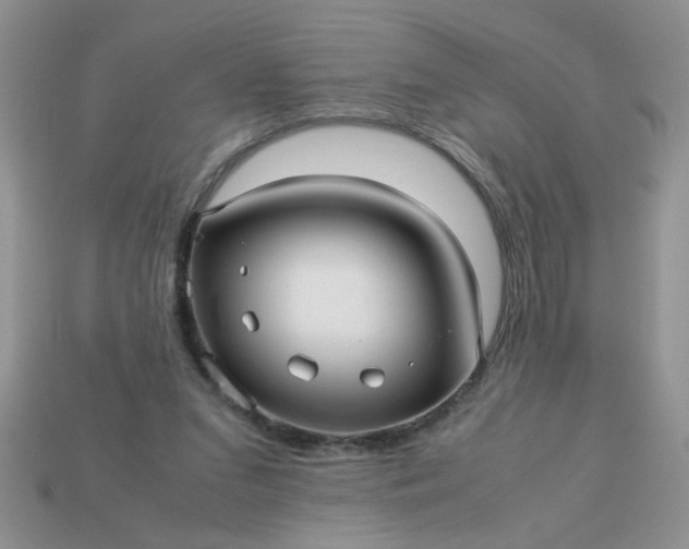 X0000113010207200909101824