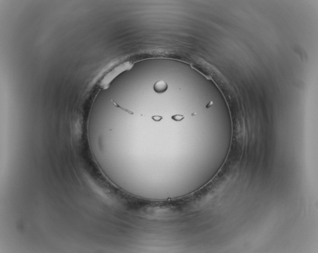 X0000113010208200909101824