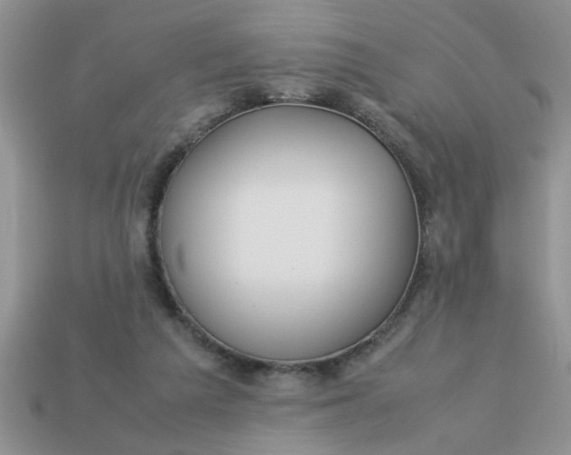 X0000113010209200909101824