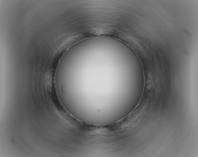 X0000113010210200909101824