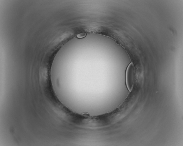 X0000113010211200909101824