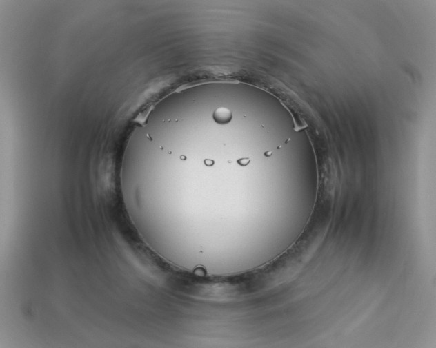 X0000113010212200909101824