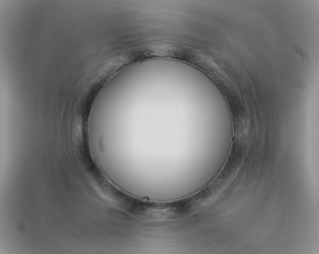 X0000113010213200909101824