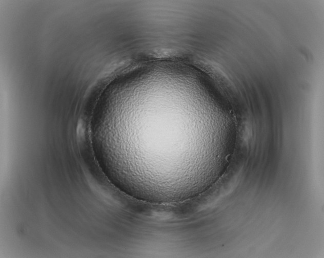 X0000113010214200909101824