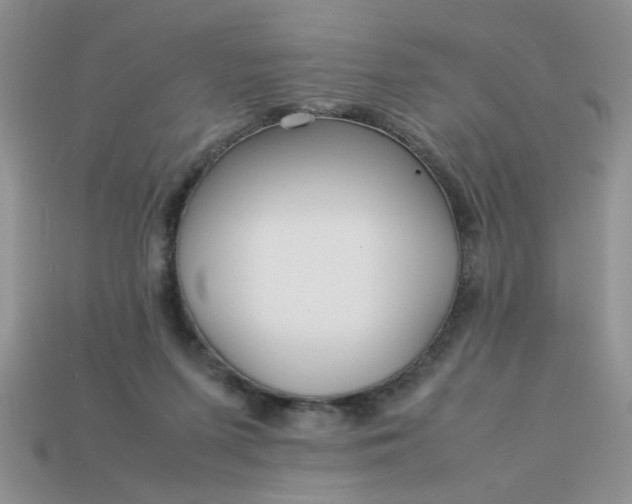 X0000113010215200909101824