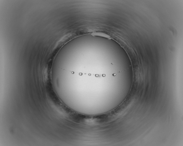 X0000113010216200909101824