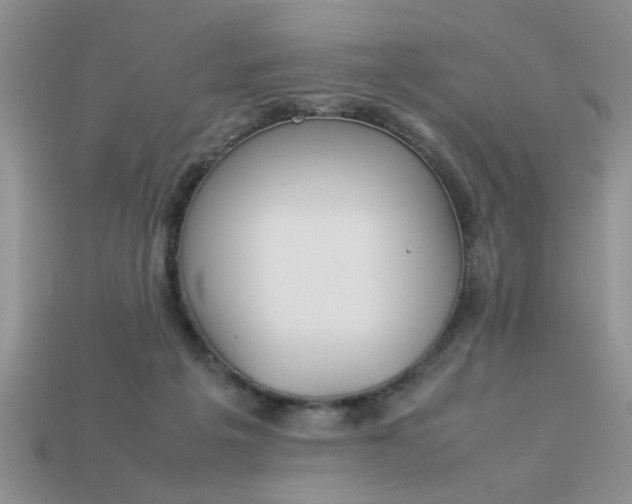 X0000113010217200909101824