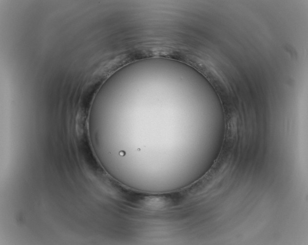 X0000113010218200909101824