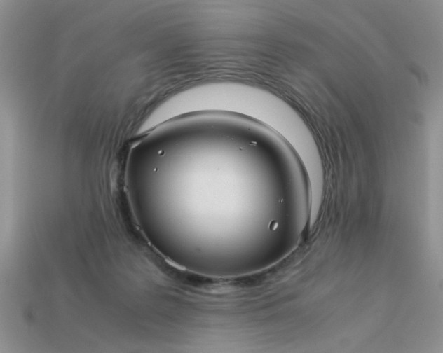 X0000113010219200909101824