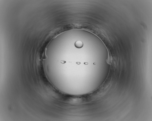 X0000113010220200909101824