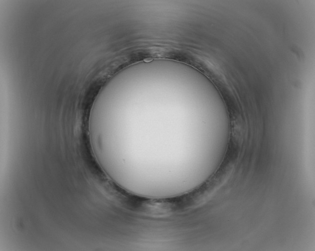 X0000113010221200909101824