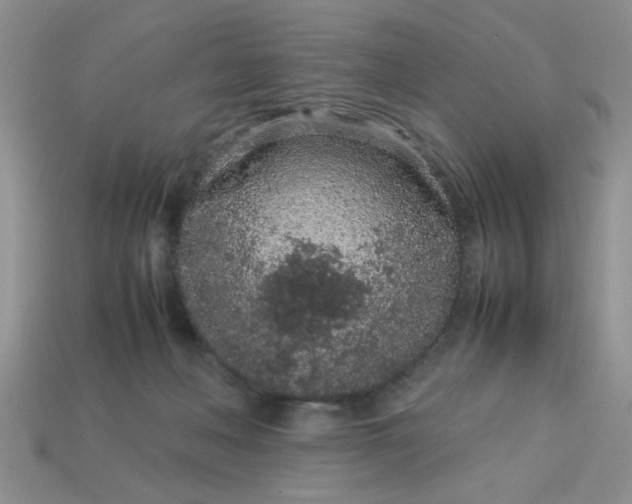 X0000113010222200909101824