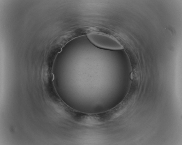 X0000113010223200909101824