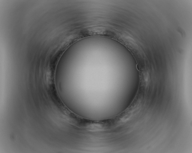 X0000113010224200909101824