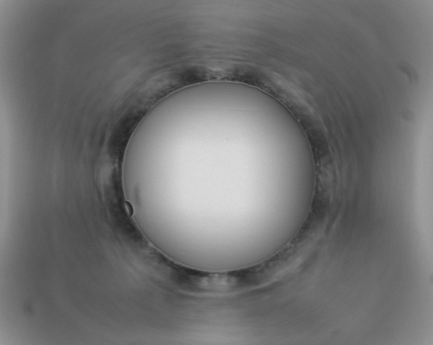 X0000113010225200909101824