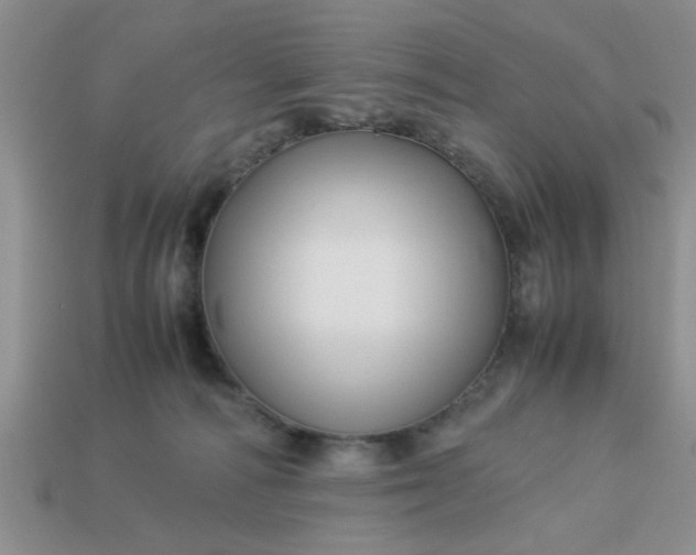 X0000113010226200909101824