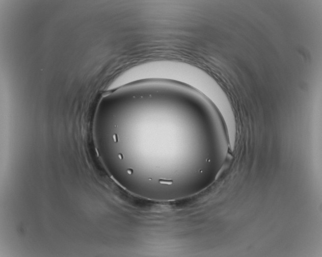 X0000113010227200909101824