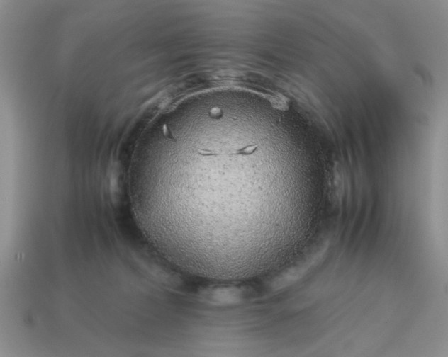 X0000113010228200909101824