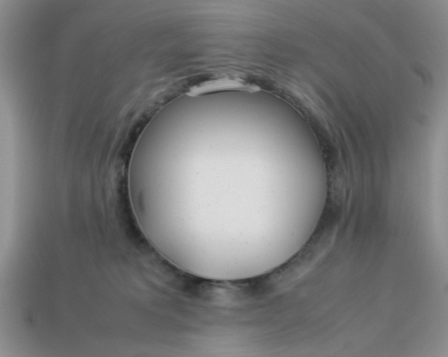 X0000113010229200909101824