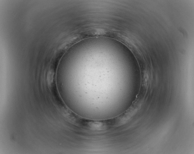 X0000113010230200909101824