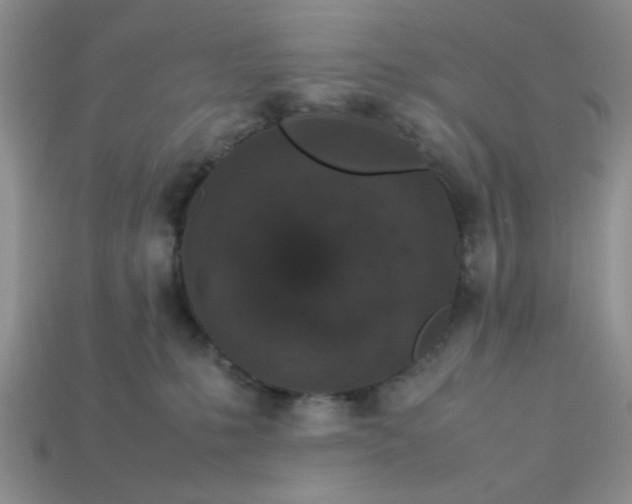 X0000113010231200909101824