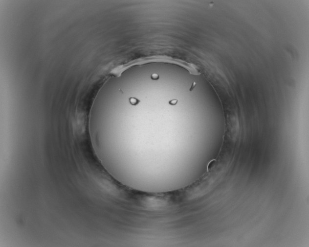 X0000113010232200909101824