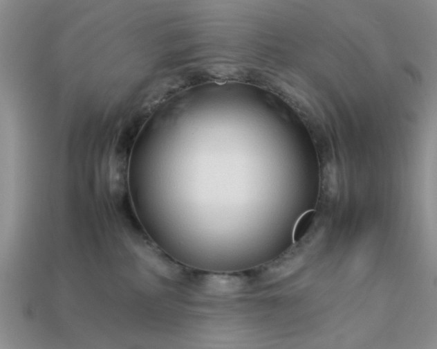 X0000113010234200909101824