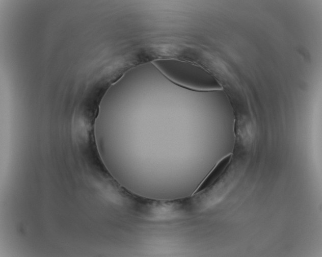 X0000113010235200909101824