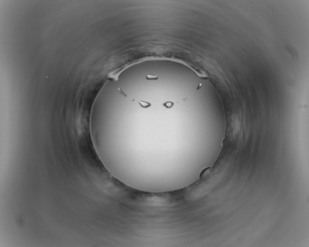 X0000113010236200909101824