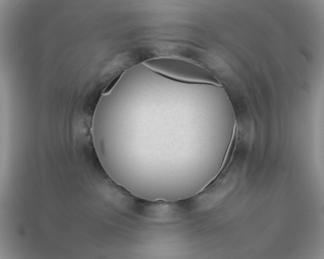 X0000113010237200909101824