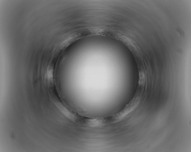 X0000113010238200909101824