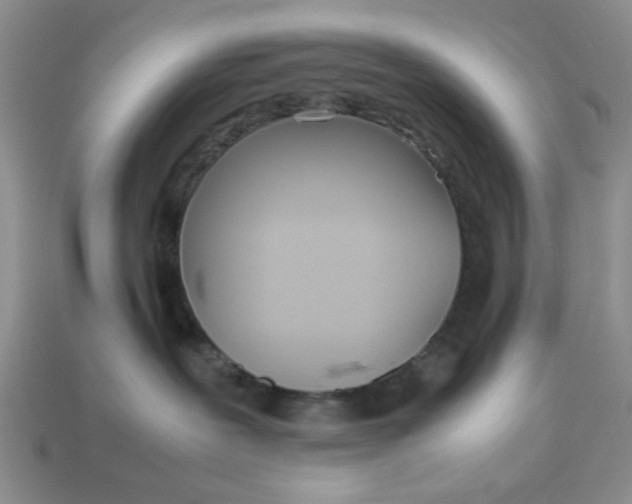 X0000113010239200909101824