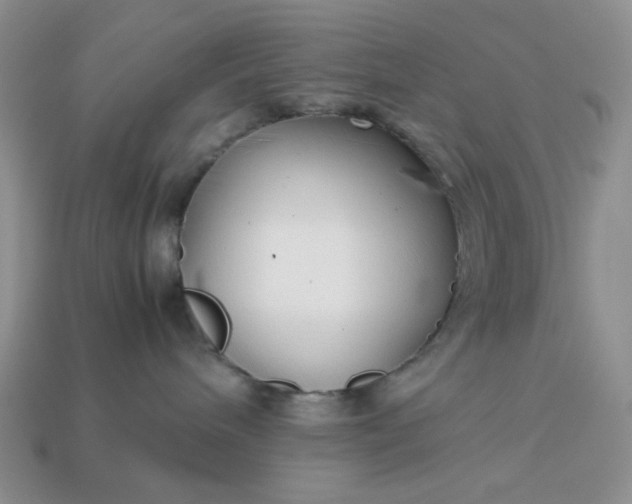 X0000113010240200909101824