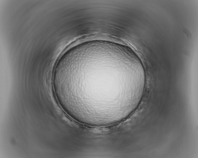 X0000113010241200909101823