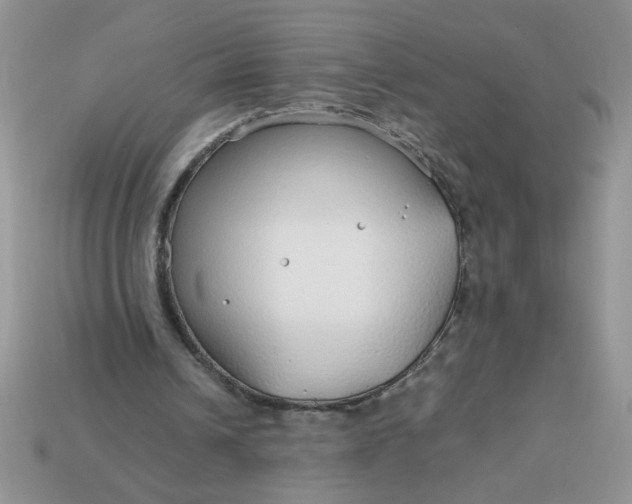 X0000113010242200909101823