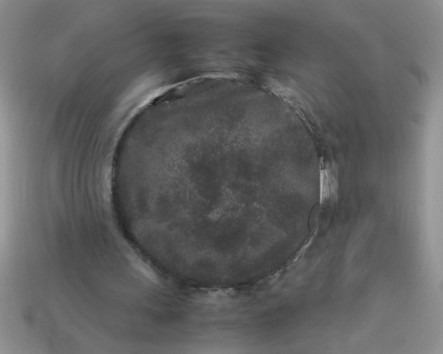 X0000113010243200909101823