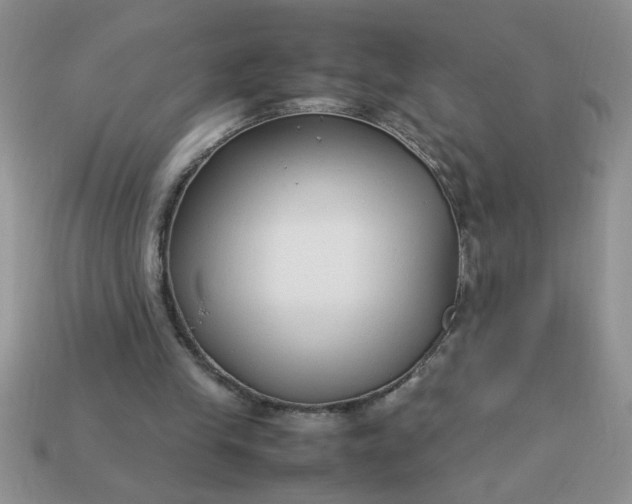 X0000113010245200909101823