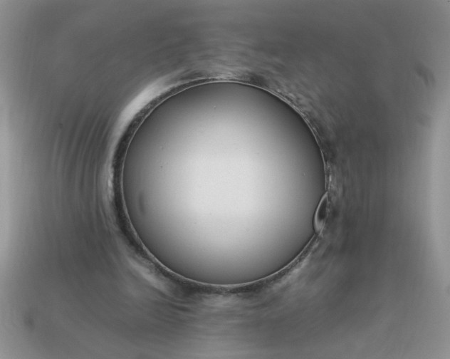 X0000113010246200909101823