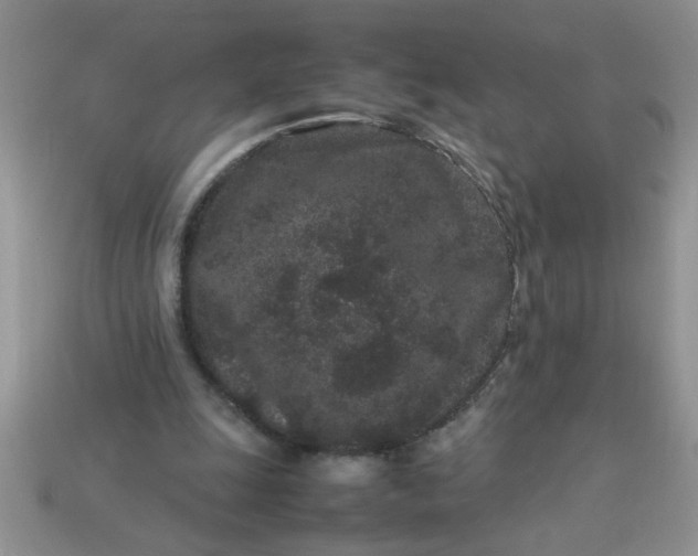 X0000113010247200909101823