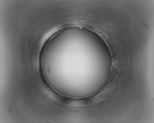 X0000113010248200909101823