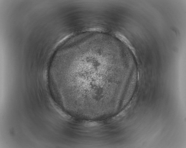 X0000113010249200909101823